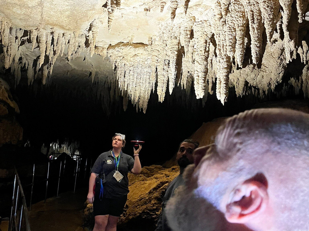 Milky Way Glowworm Cave - Waipu景点图片