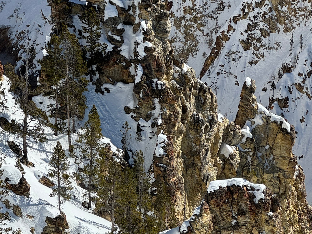 Gary Fales Outfitting-科迪必去景点