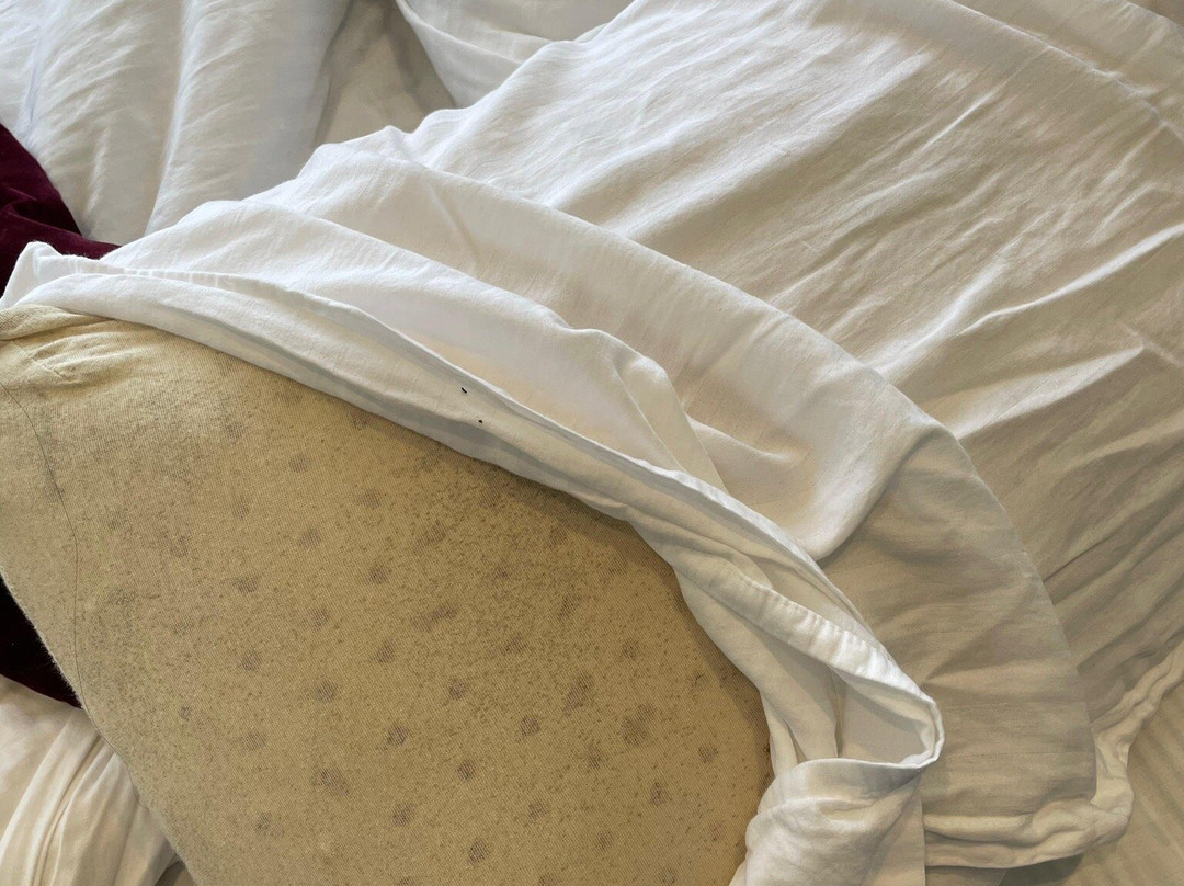 Foggy Knolls Resort主图