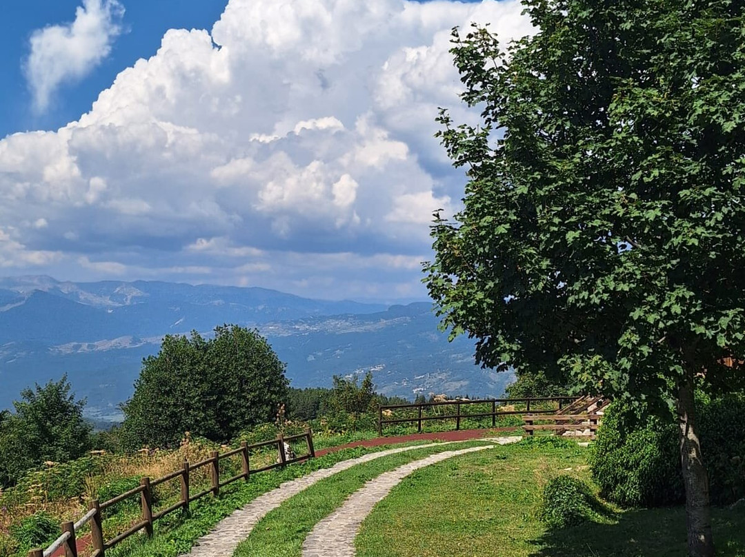 Giardino della Flora Appenninica景点图片