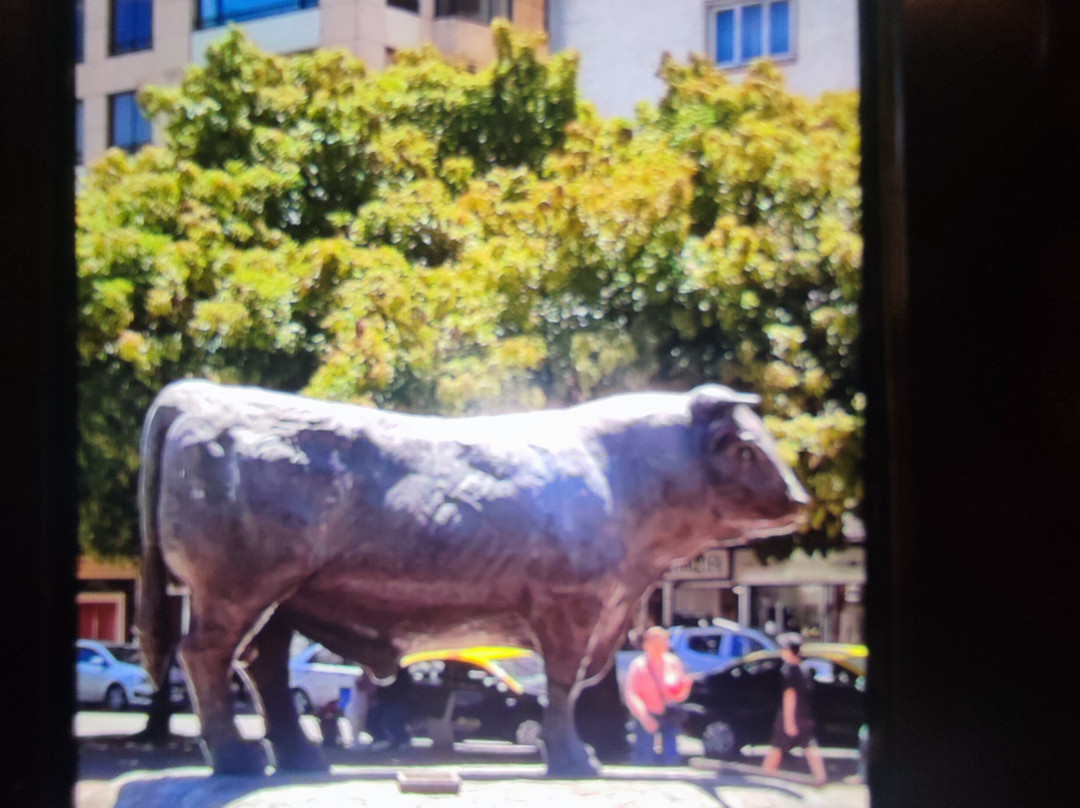 Feria libre de Rahue-Osorno必去景点