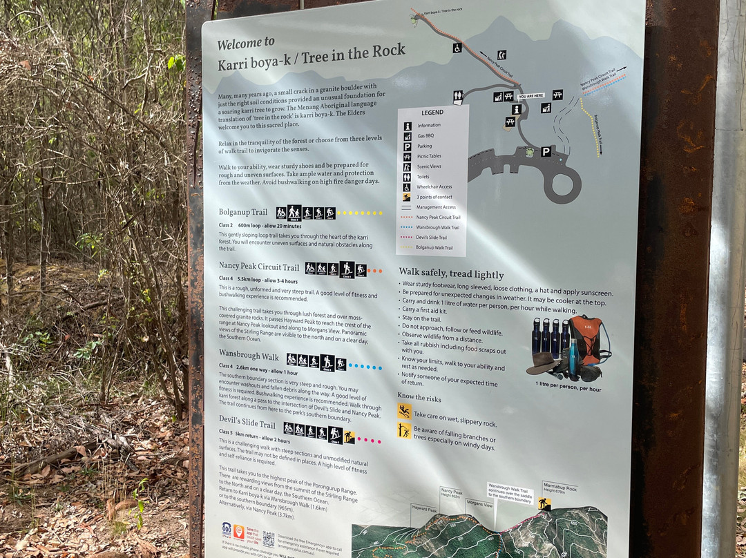 Tree In The Rock-Porongurup National Park必去景点