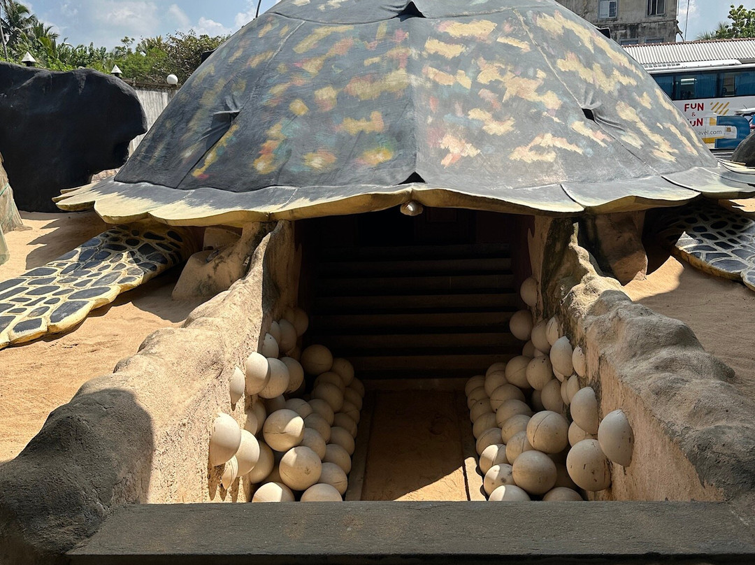 KOSGODA Turtle Conservation and Research Centre景点图片