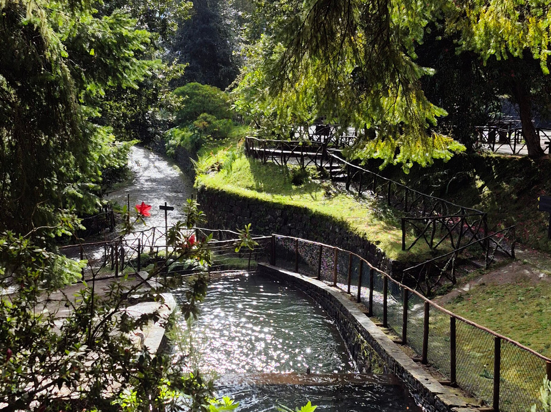 Levada Do Caldeirao Verde-Santana必去景点