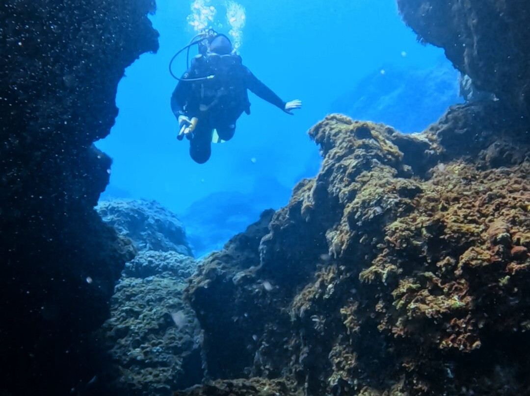New Dimension Scuba-圣保罗湾城必去景点