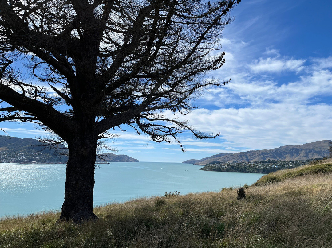 鹌鹑岛-基督城必去景点