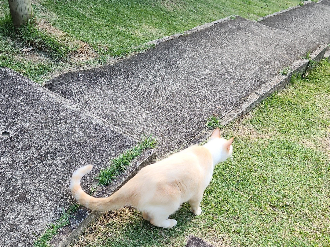 Pousada dos Anjos主图