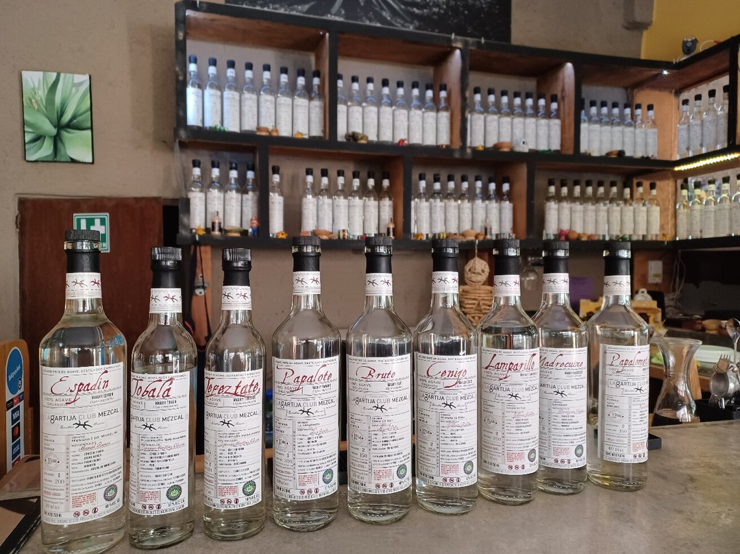 Lagartija Club Mezcal景点图片