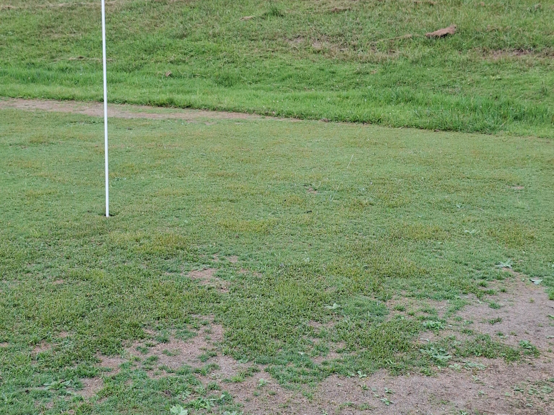 Badplaas Golf Club Guest House & Lodge主图