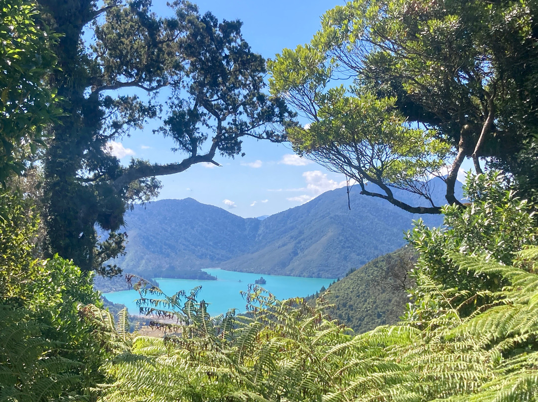 Pelorus Sound Water Taxi & Cruises-哈夫洛克必去景点