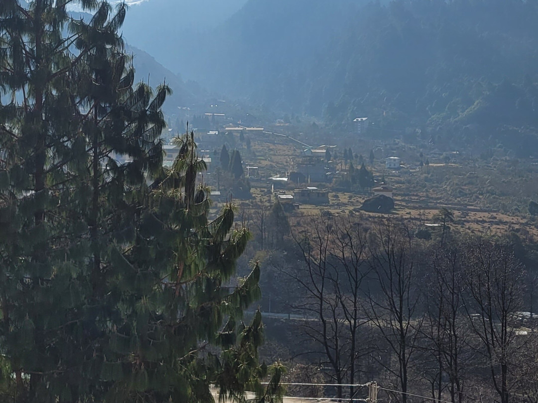 Le Coxy Resort主图