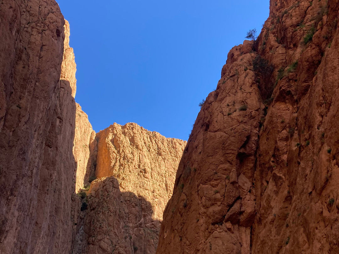 Morocco Shining Tours-非斯必去景点