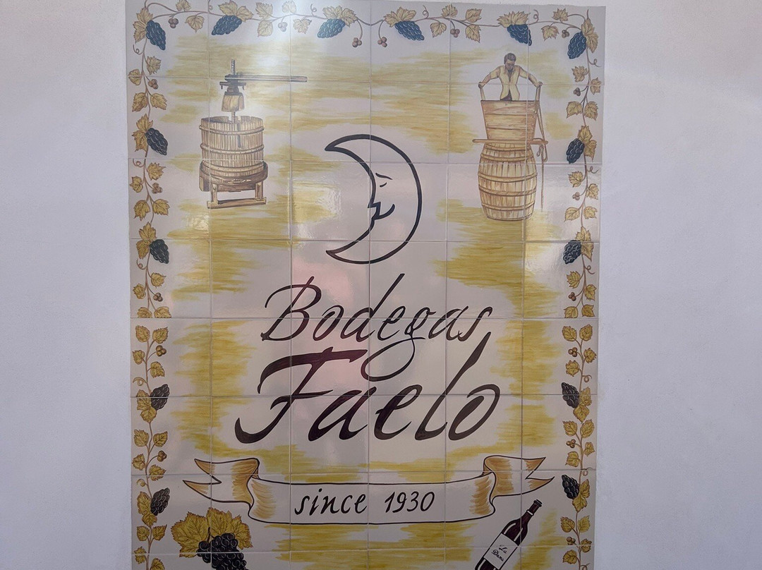 Bodegas Faelo景点图片