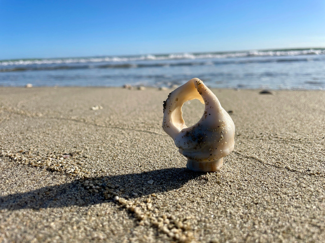 Papamoa Beach景点图片