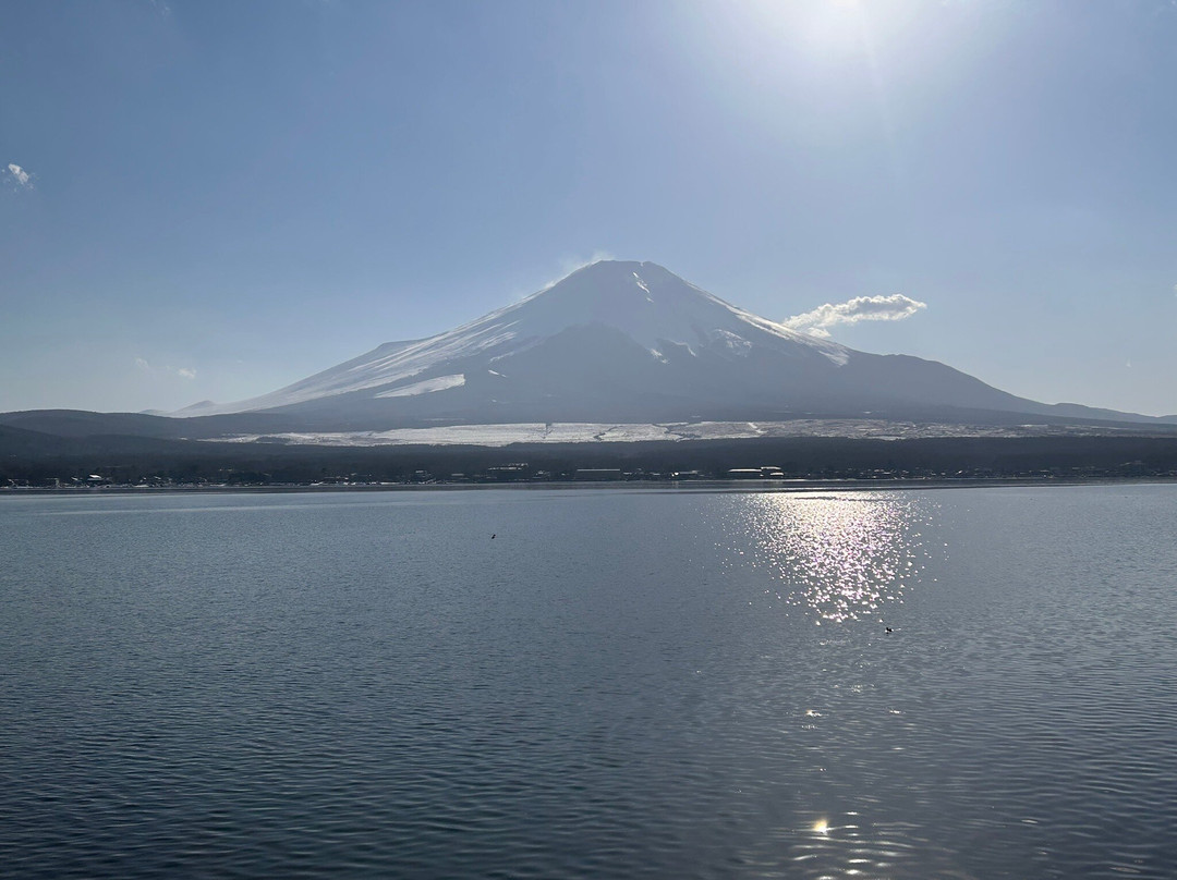 Nagaike Shinsui Park景点图片