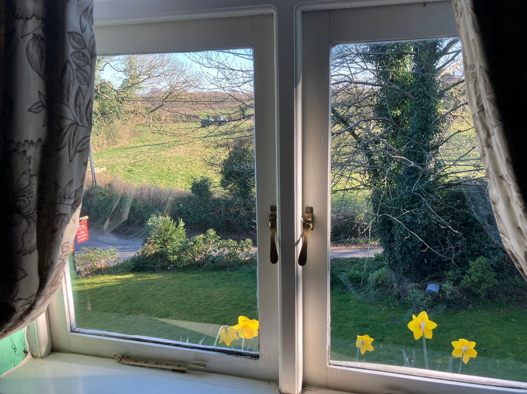 Ash Farm Country Guest House主图