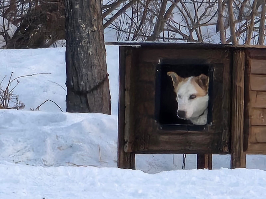 Fjellborg Arctic Journeys-基律纳必去景点