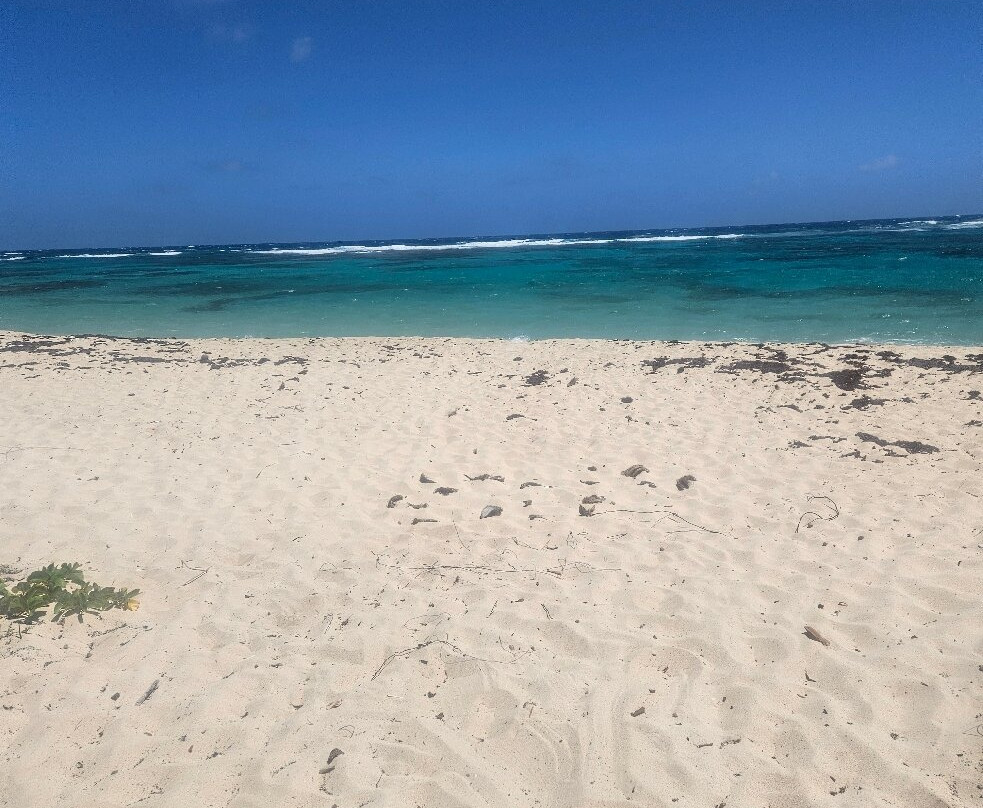 Isaac Bay-圣克鲁斯必去景点