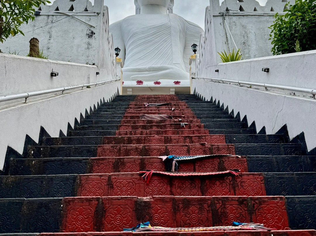 Omaya tours景点图片
