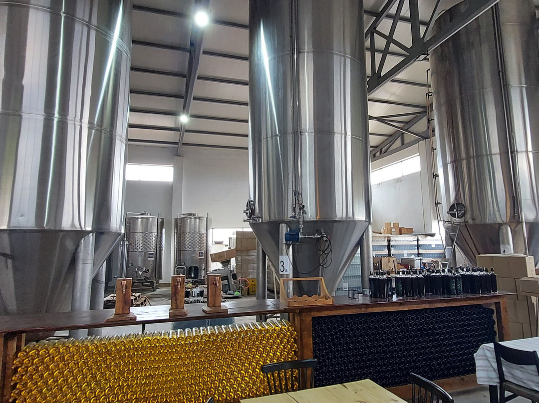 Risons Distillery & Winery-Gjakova必去景点