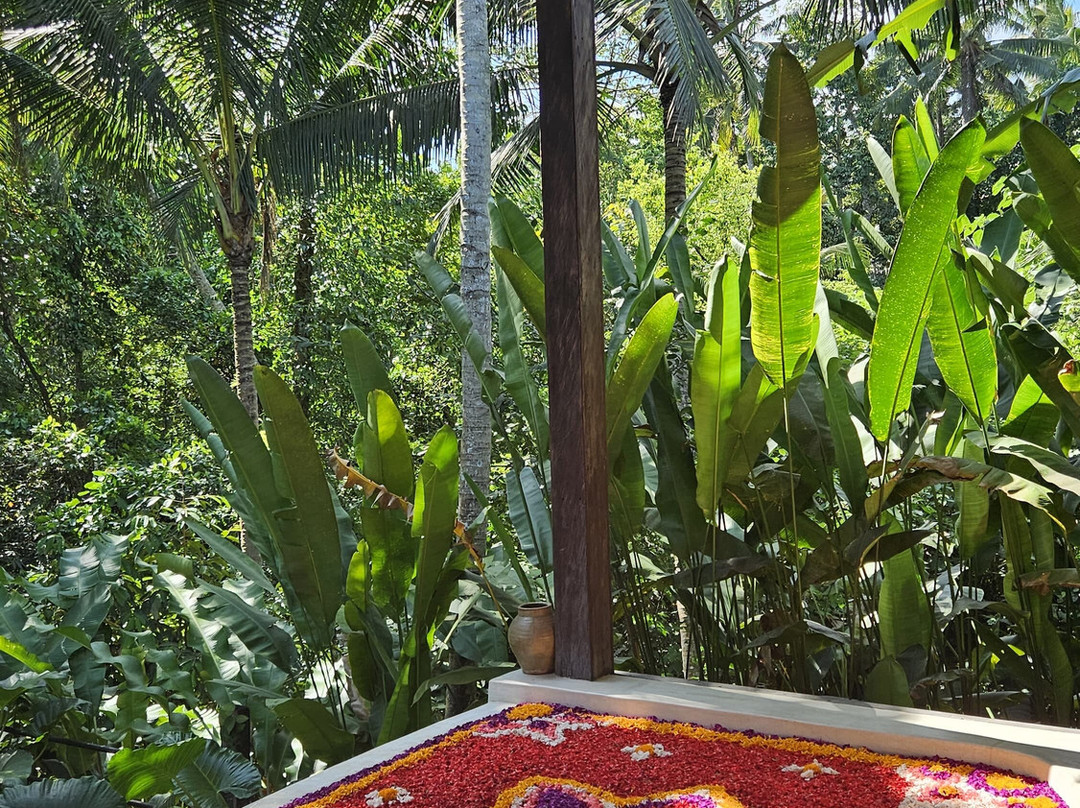 Casa Pohon Ubud主图