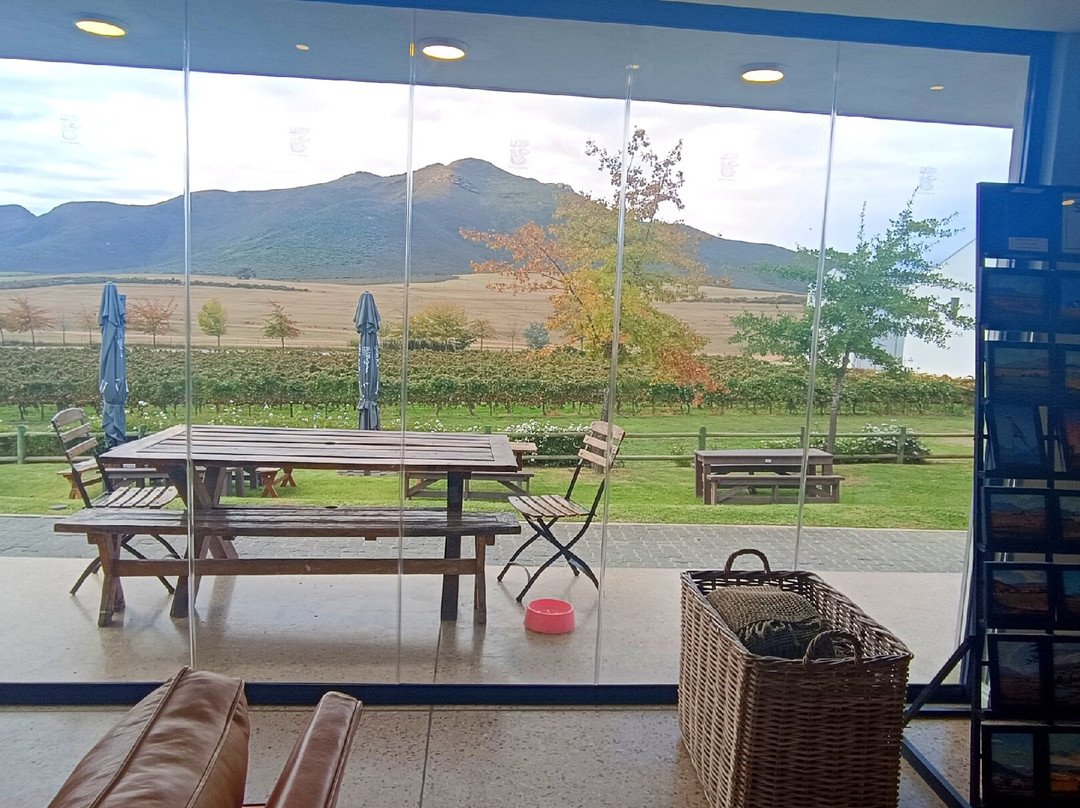 Stettyn Cellar-伍斯特必去景点