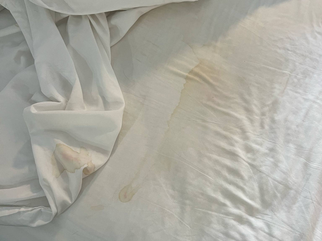 Holiday Inn Express & Suites Sandy - South Salt Lake City by IHG主图