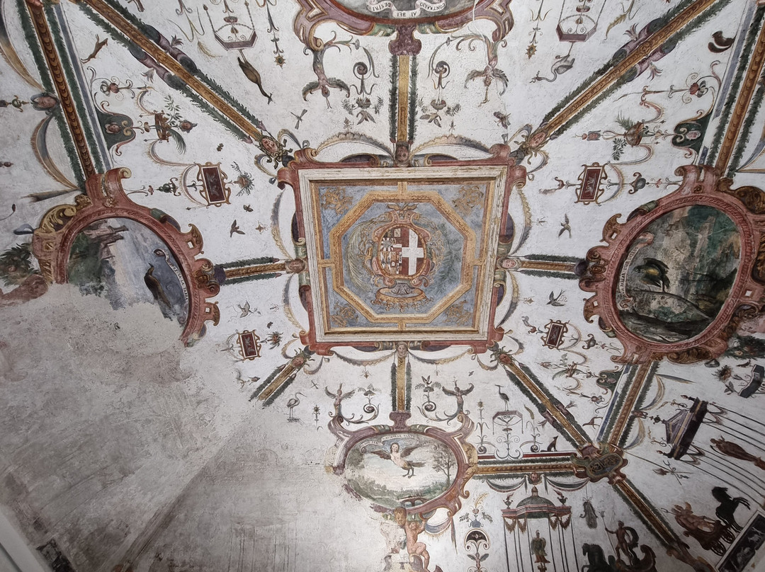 Castello di Fossano景点图片