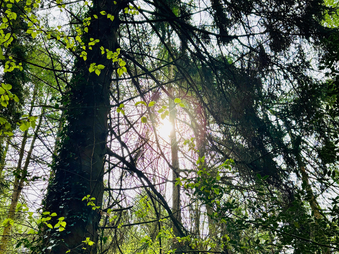 Sutton Bank National Park Centre景点图片