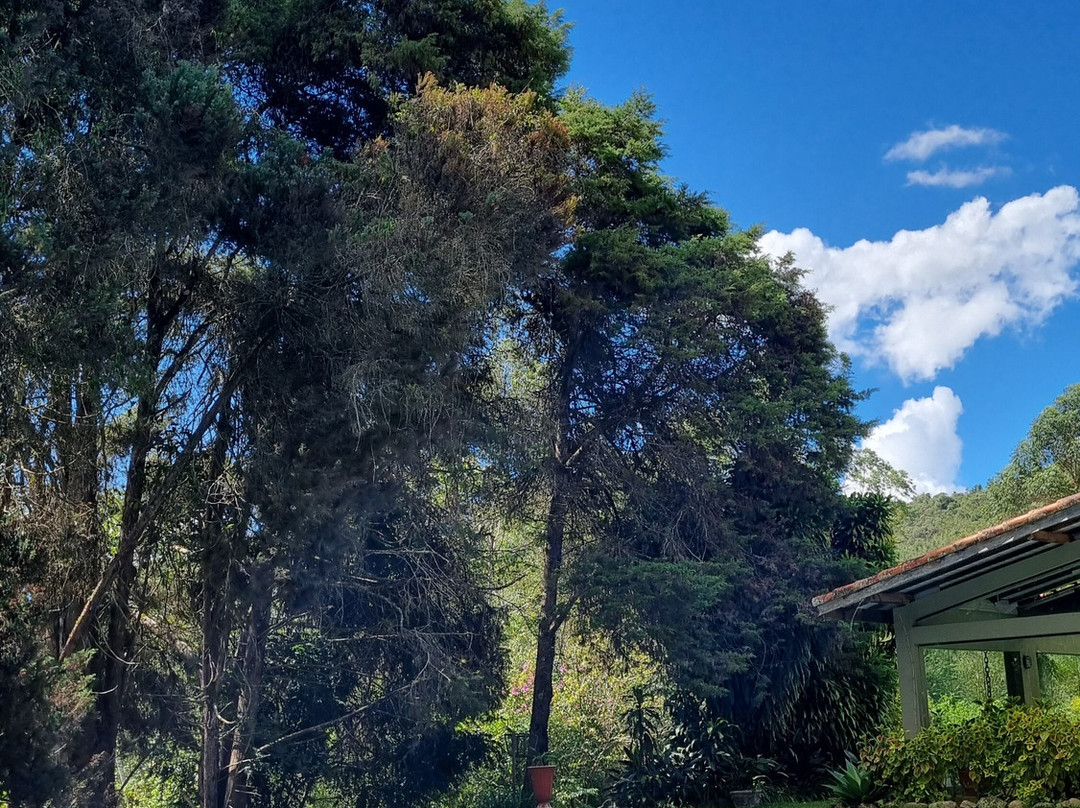 Spa Maria Bonita主图