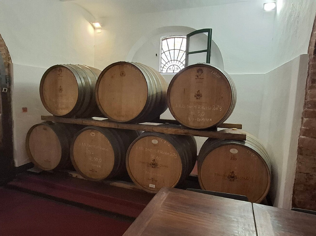 Tenuta Di Ghizzano景点图片