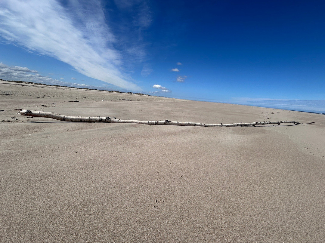 Das Wrack am Ostende