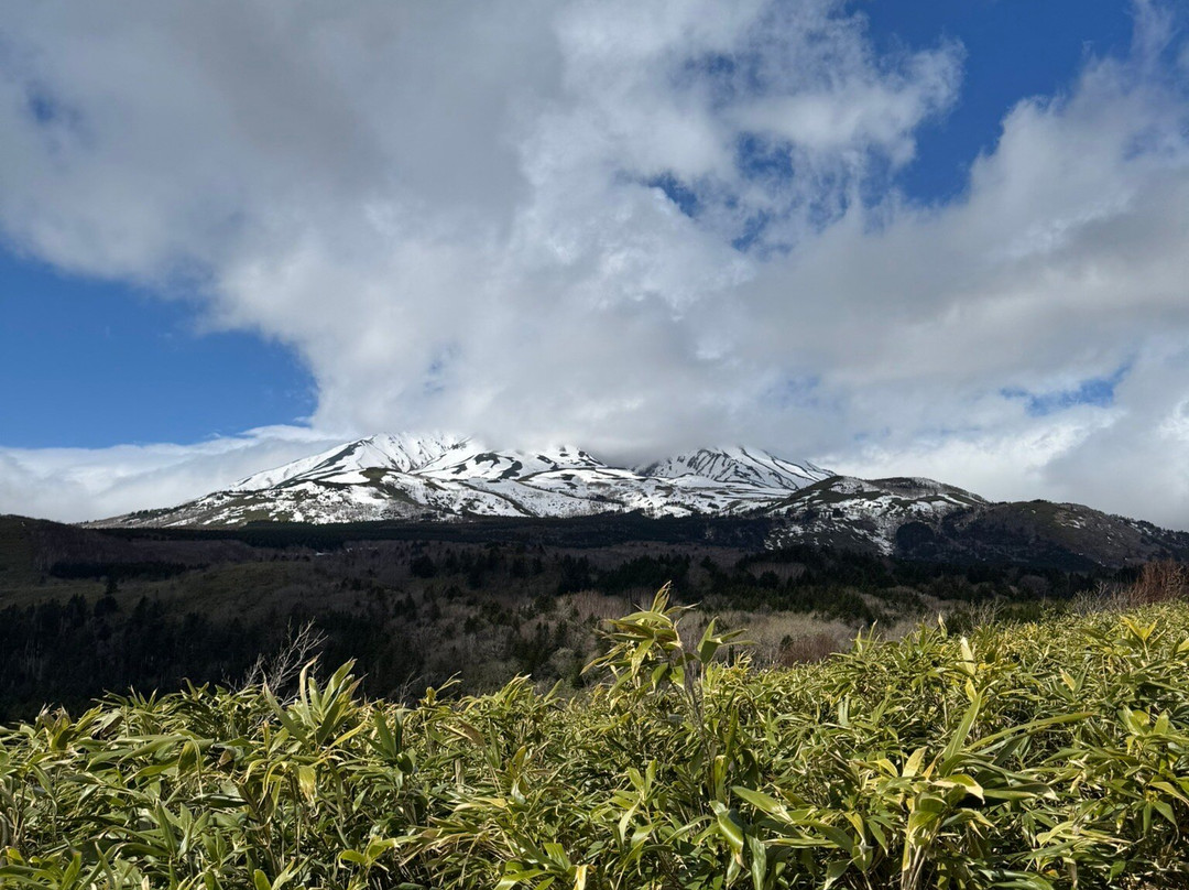 利尻岛-利尻町必去景点