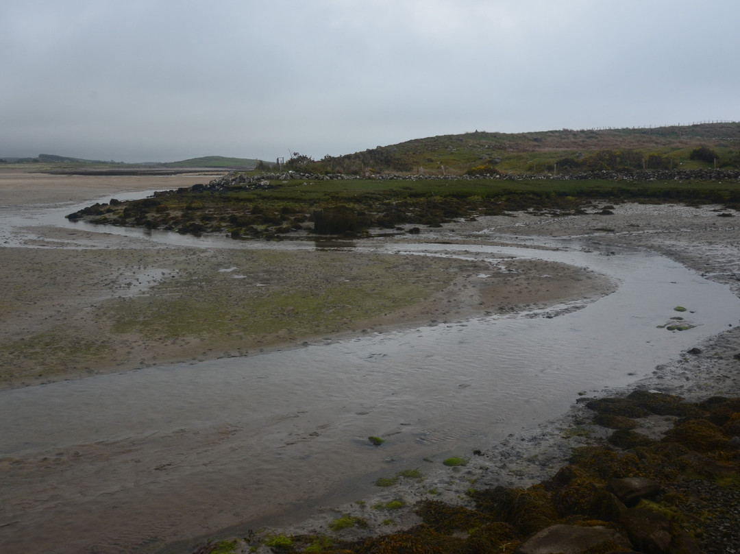Mulranny Saltmarsh-Mulranny必去景点