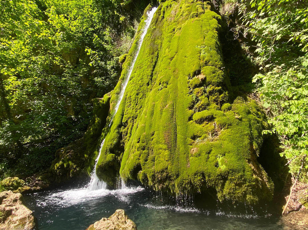 Vadu Crisului Waterfall
