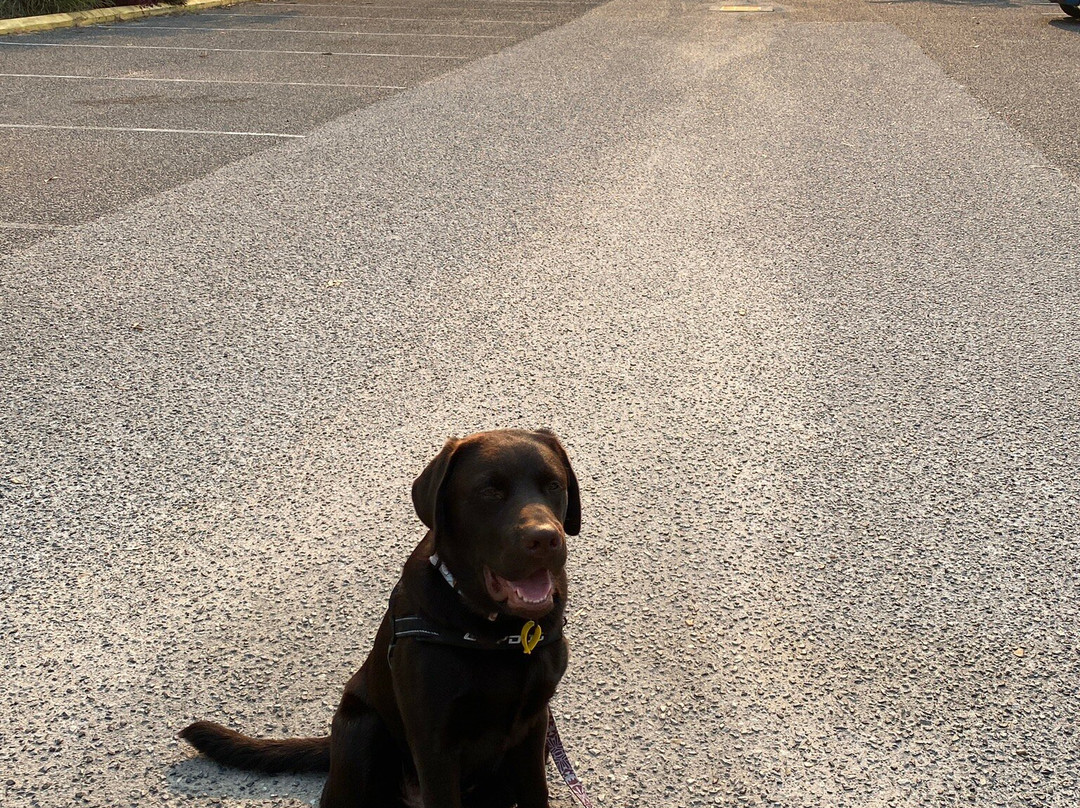 Reef Adventureland Motor Inn主图