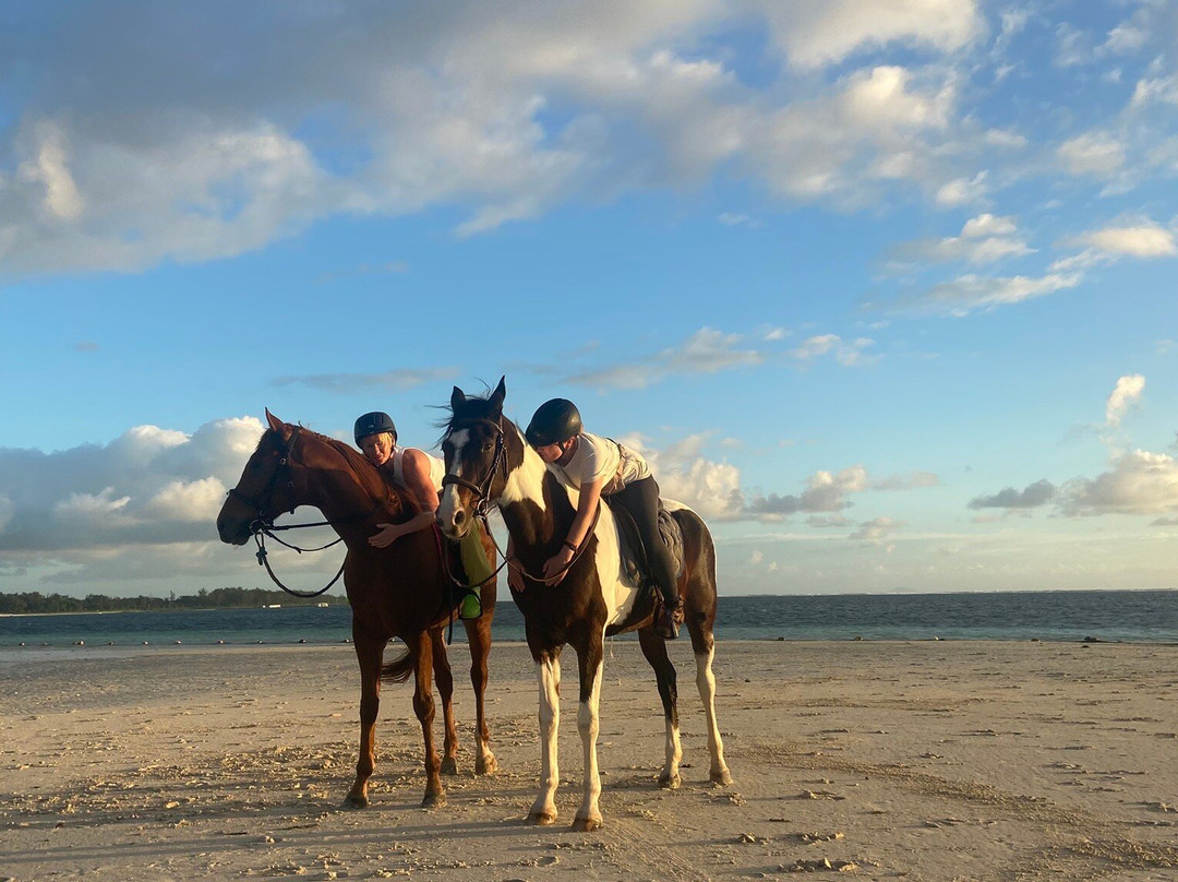 Legasea Stables Mauritius-Quatre Cocos必去景点