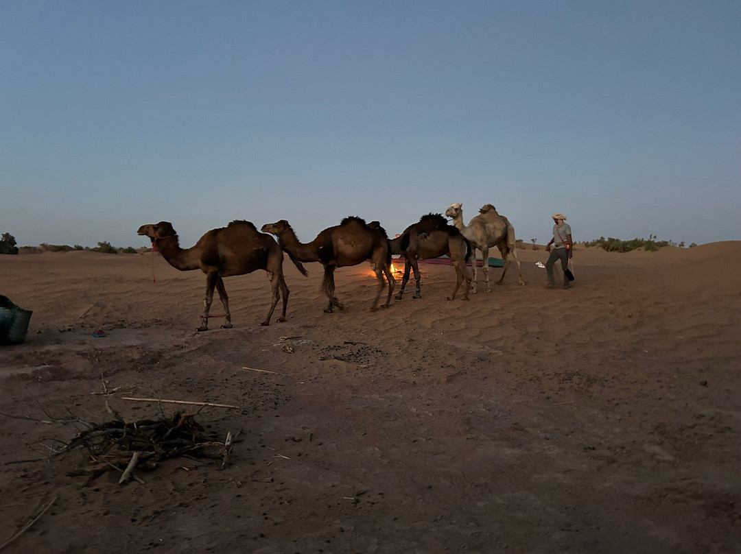Zbartravel-扎古拉必去景点