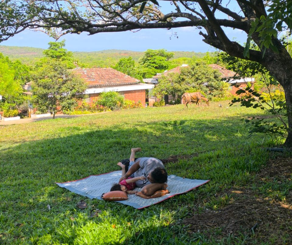 萨马利蕨类度假村主图