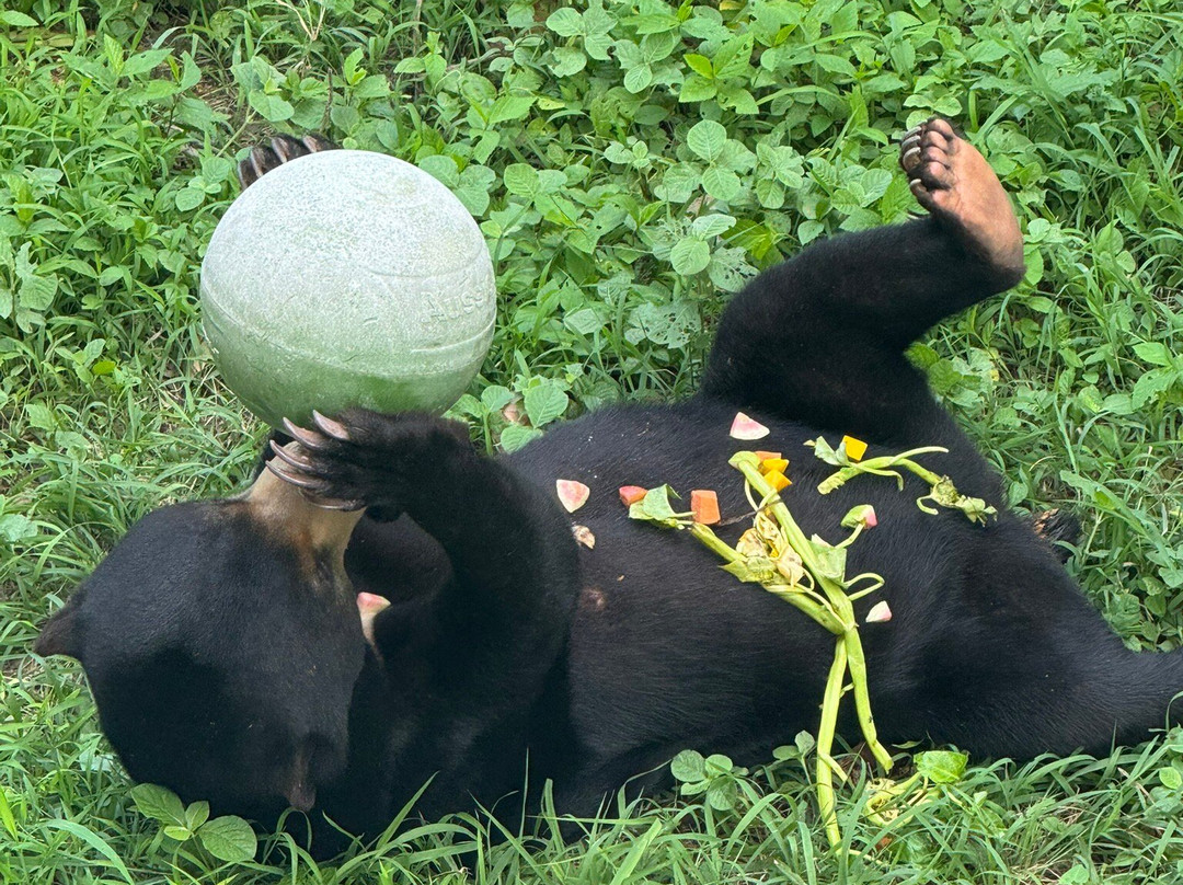 Sofitel Spa-金边必去景点