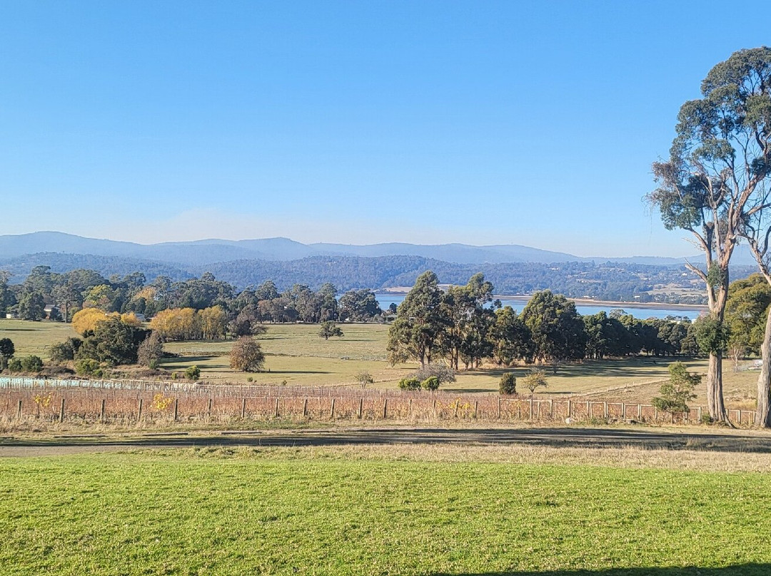 Stoney Rise Vineyard-Gravelly Beach必去景点