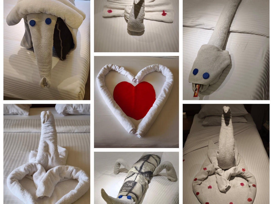 SUNRISE M/S Semiramis III主图