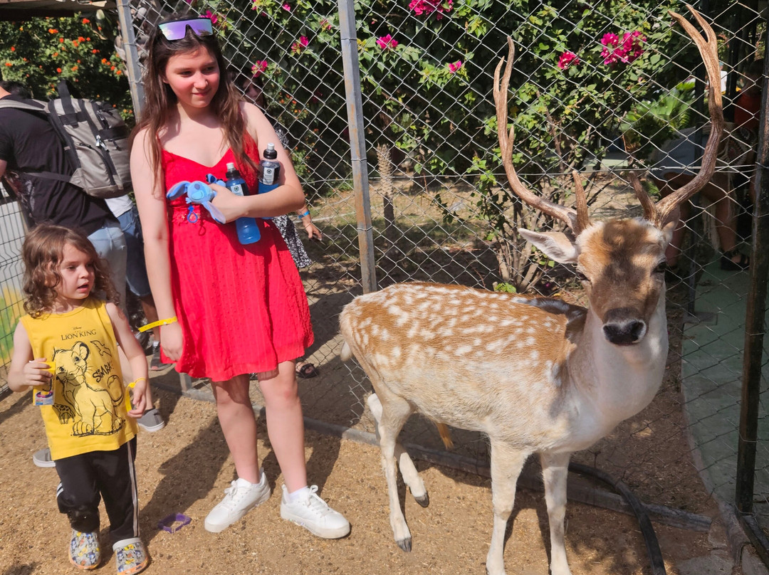 Berkem Aslan Diyari-Golbasi必去景点