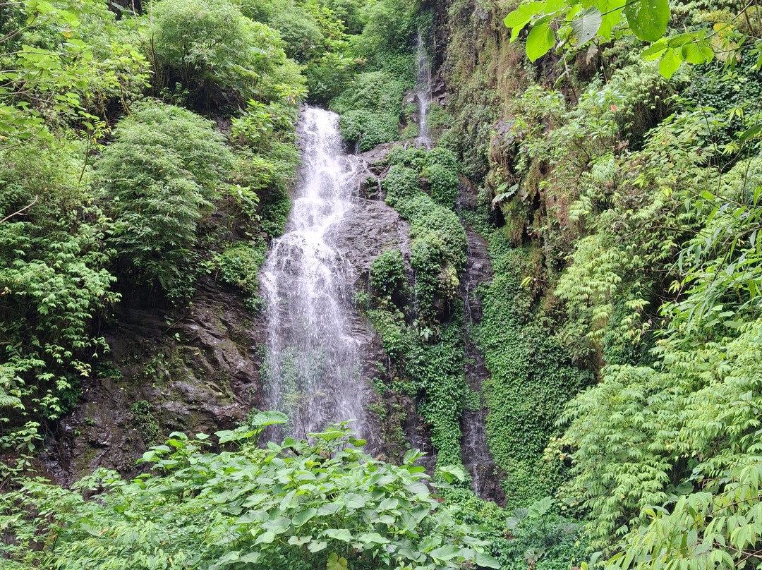 Arenas Travel Costa Rica-埃斯卡松必去景点
