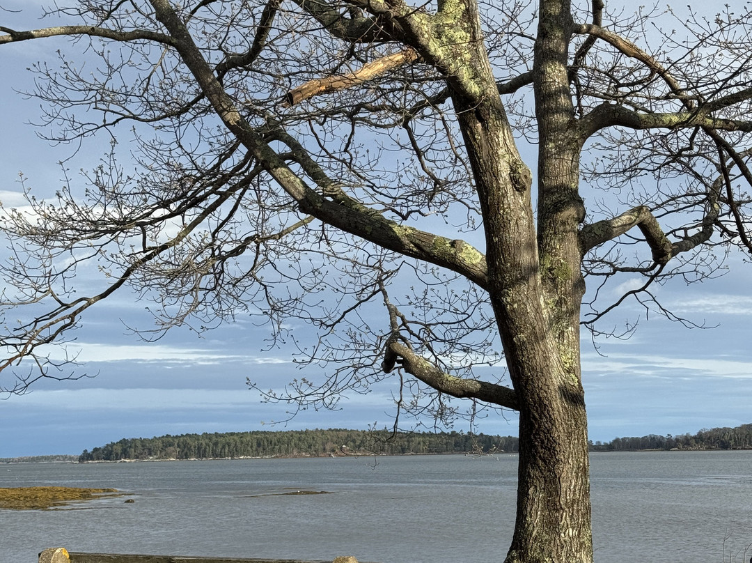 Winslow Memorial Park Camping and Public Beach景点图片