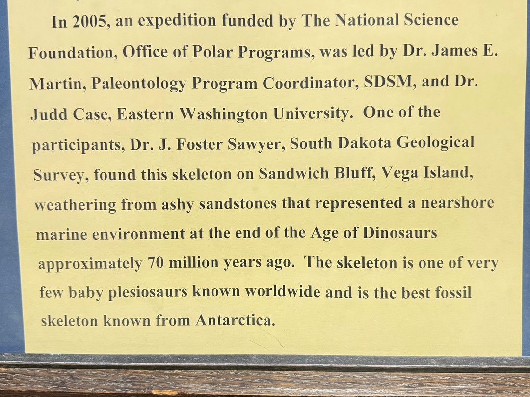 Museum of Geology-拉皮德城必去景点