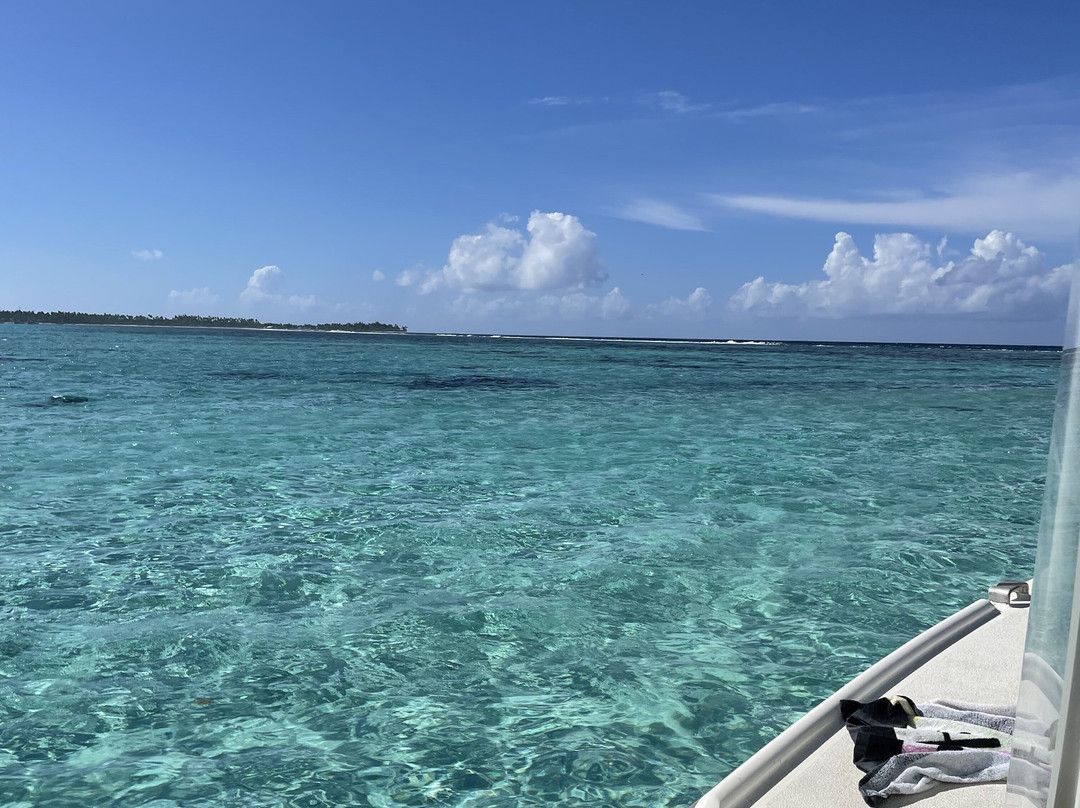 Fluid Tahiti Dive Center景点图片
