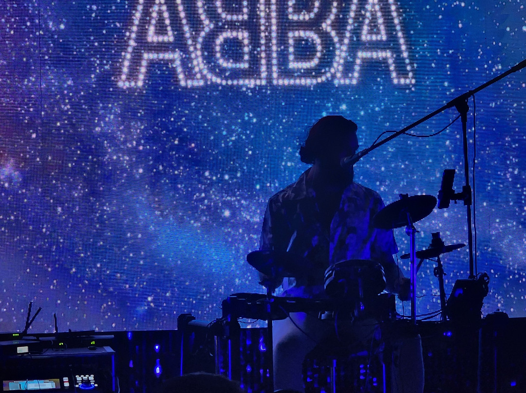 The Palm Cabaret and Bar-瓦拉塔港必去景点