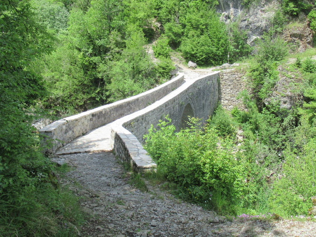 Mrtvica Canyon-Medjurecje必去景点