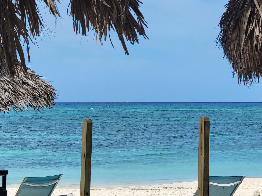 Tamarijn Aruba All Inclusive主图